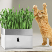 懒人水培猫草4包