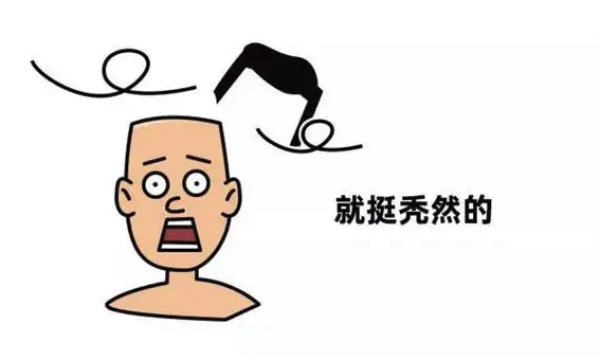 编也逃不过脱发的困扰,不管是枕头上,地板上,床底下宿舍遍地都是头发