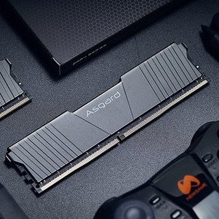 Asgard 阿斯加特 洛极T2系列 DDR4 3000MHz 台式机内存 马甲条 黑色 32GB