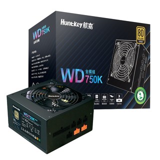 WD650K 金牌（90%）全模组ATX电源 650W