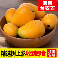 梅珍 海南台农芒果 5斤