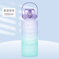 天喜（TIANXI） 塑料杯 水杯女生高颜值大容量健身运动水壶弹盖可爱带吸管刻度夏季新款水瓶 紫渐变绿