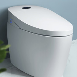 oulin 欧琳 2005 储热式智能马桶 400mm
