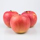 限地区：红富士苹果 单果65-75mm 30斤*50份（仅配送上海地区）