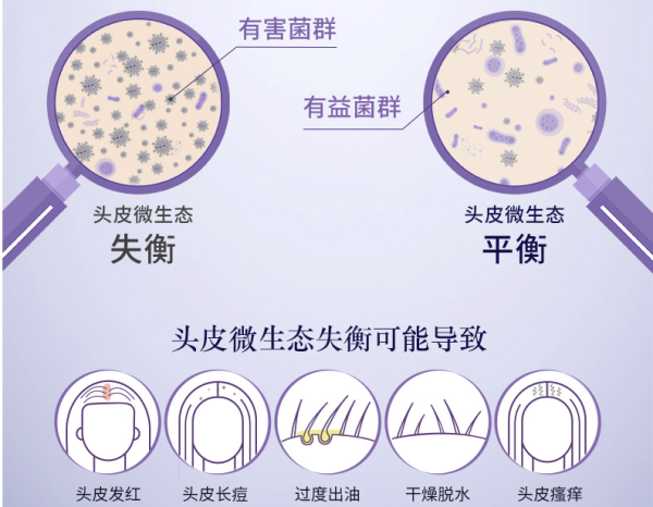 88viploccitane欧舒丹5合1草本菁纯洗发水500ml赠草本洗发水50ml3