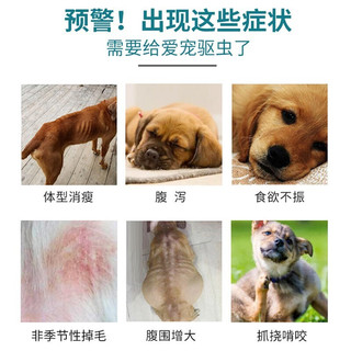 海乐旺 狗狗驱虫药体内外一体海乐旺体内福来恩宠物成犬幼犬体外专用滴剂