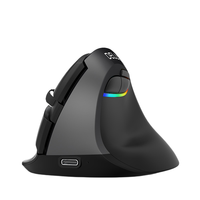 DeLUX 多彩 M618mini 2.4G蓝牙 双模无线鼠标 2400DPI RGB 经典黑