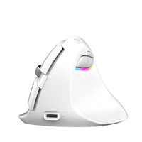 DeLUX 多彩 M618mini 2.4G蓝牙 双模无线鼠标 2400DPI RGB 琉璃白