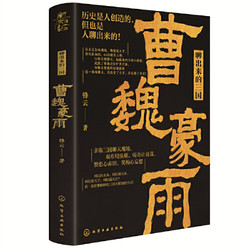 《新史纪丛书·聊出来的三国：曹魏豪雨 》 