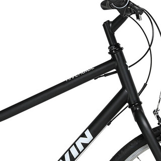 DECATHLON 迪卡侬 RIVERSIDE 100 山地自行车 8520047