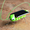 贝伦多 创意儿童新奇拼装玩具 太阳能蚂蚱