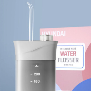 XIANDAI 现代 W1 冲牙器