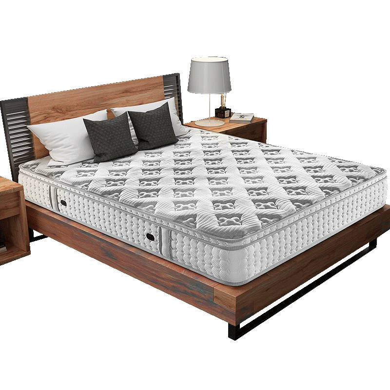 somnopro 穗宝 dream·梦旅人 环保椰棕床垫 180*200*25cm