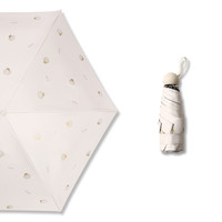 Paradise 天堂伞 6骨五折海之贝晴雨伞