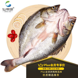 仙泉湖 三去白蕉海鲈鱼净膛500~600g珠海特产烧烤食材生鲜