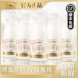 每日鲜语 全脂鲜牛奶250ml*10瓶