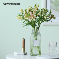 花加 flowerplus 单品鲜花六出花10枝颜色随机