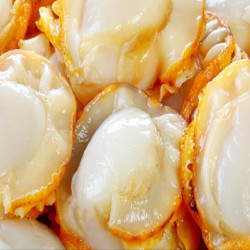 永昌顺 冷冻一级大鸳鸯贝新鲜速冻扇贝肉炒菜火锅必备食材