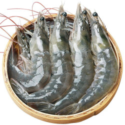 taoliwang桃李旺精选大青虾4斤