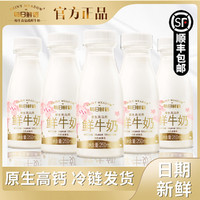 每日鲜语 全脂鲜牛奶250ml/瓶*8瓶装巴氏杀菌牛奶