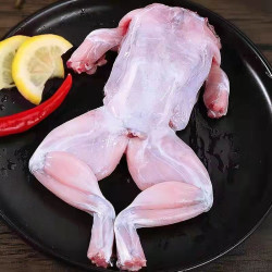 初灿 牛蛙肉 5斤