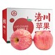 PLUS会员：乌岽山 正宗洛川苹果红富士 大果(80-85mm)  5斤