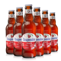 Hoegaarden 福佳 比利时风味 玫瑰红啤酒 248ml*6瓶