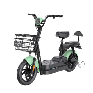 ZB 正步 电动自行车 TDT019Z 48V12Ah铅酸电池 黑色/绿色 限量版