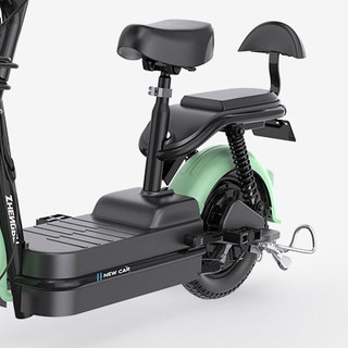 ZB 正步 电动自行车 TDT019Z 48V12Ah铅酸电池 黑色/绿色 限量版