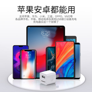 品胜iPhone13充电器头pd快充头20w适用苹果12Promax18w11se3手机ipad9快速mini双口闪充数据线套装Typec插头X