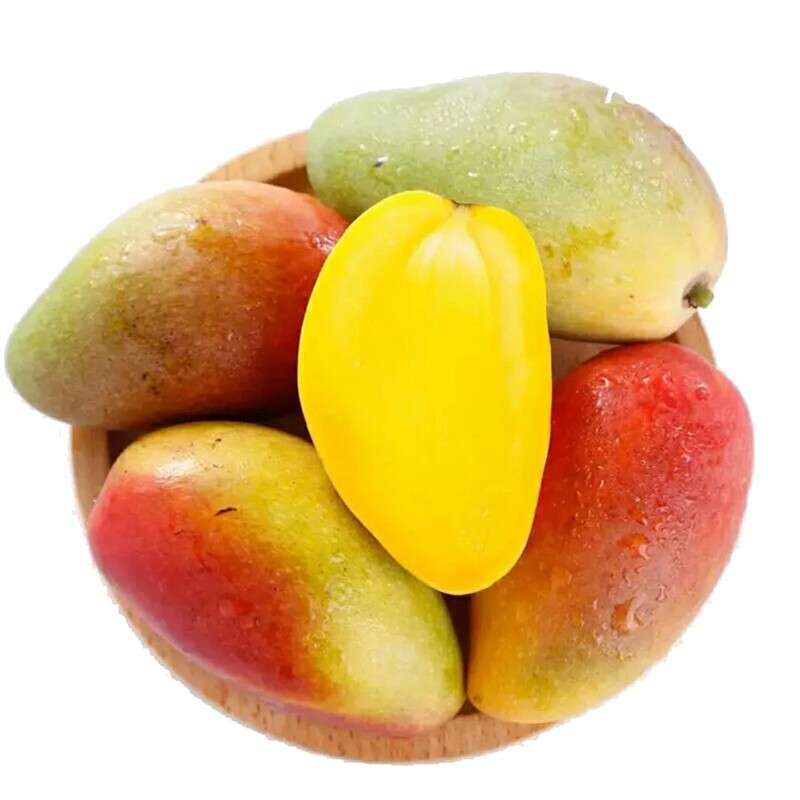 果迎鲜 海南贵妃芒