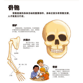 《我们的身体》（精装）