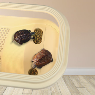 boxtech 生态水陆龟缸