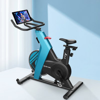 SHUA 舒华 动感单车家用手动磁控健身车室内运动健身器材B599