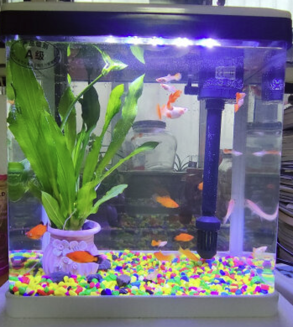 sobo 松宝 鱼缸水族箱 带灯过滤器 三合一水泵 240活动款官方标配