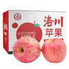 乌岽山 洛川苹果 2.5kg