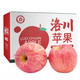 PLUS会员：乌岽山 正宗洛川苹果红富士 5斤礼盒装12枚（75mm）