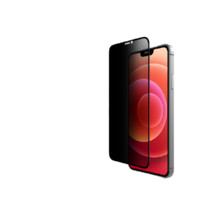 TGVI'S 泰维斯 iPhone 13 Pro Max 防窥钢化前膜