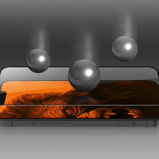 TGVI'S 泰维斯 iPhone 13 Pro 防窥钢化前膜