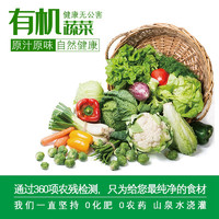 支持上海顺丰专线直发 有机无公害生态蔬菜 现采现发 净重5斤 菜品可选:线椒、青瓜、油菜心、奶白菜、茄子、四季豆、红苋菜
