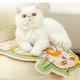 PLUS会员：魔力猫盒 宠物冰垫 M-中型（30*40cm)