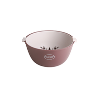 舍里 双层盆筛 22.5*20.5*10cm 深红色