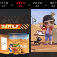 Ray-Ban 雷朋 太阳镜