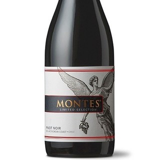 MONTES 蒙特斯 蒙特斯酒庄空加瓜谷科斯塔黑皮诺干型红葡萄酒 750ml