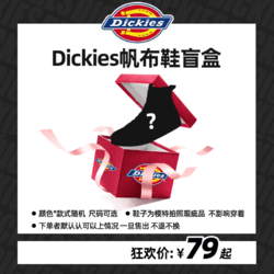 Dickies 帝客 帆布鞋盲盒