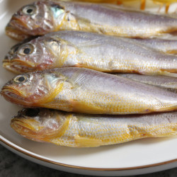 渔港渤海小黄鱼1200g袋约2430条冷冻