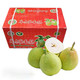 PLUS会员：水果蔬菜 新疆库尔勒香梨纯母梨 净重10斤单果120g+优选大果