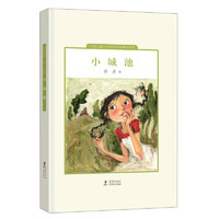 《中国儿童文学走向世界精品书系·小城池》（精装）