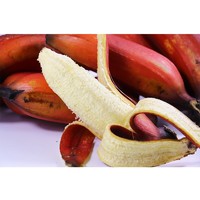 PLUS会员：粤云山 红美人香蕉 红皮香蕉 5斤