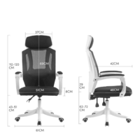 PLUS会员：佳佰 C-06 人体工学电脑椅 白色 不带脚托款